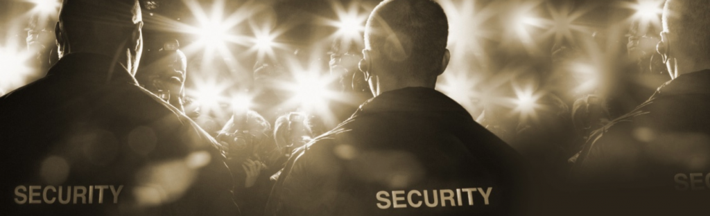 VIP/Event Security